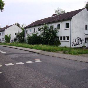 DSC09827.JPG