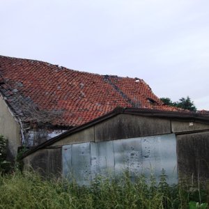 DSC09743.JPG