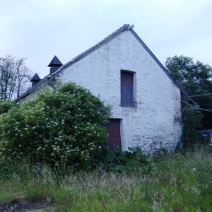 DSC09739.JPG