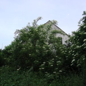 DSC09736.JPG