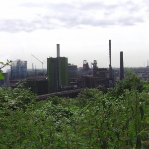 IMGA0085.JPG