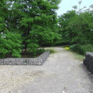 IMGA0097.JPG