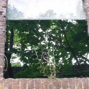 20130625_213028.jpg