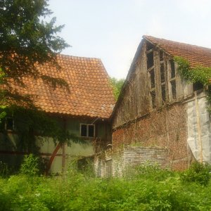 DSCI0604.JPG