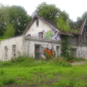 DSCI0805.JPG