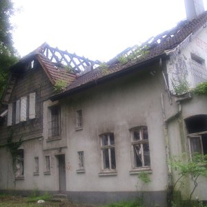 DSCI0777.JPG