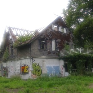 DSCI0783.JPG