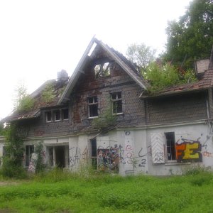 DSCI0789.JPG