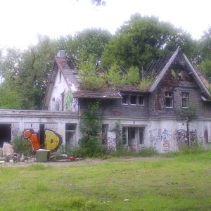 DSCI0771.JPG