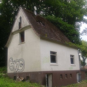 DSCI0798.JPG