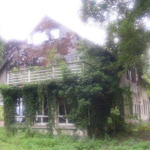 DSCI0779.JPG