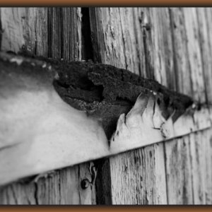 IMG_6389.JPG