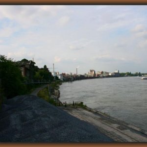 IMG_6382.JPG
