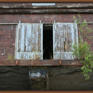 IMG_6361.JPG