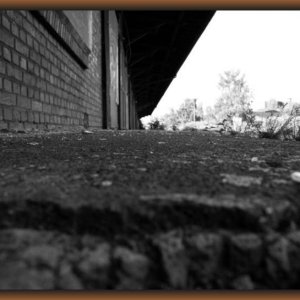 IMG_6436.JPG