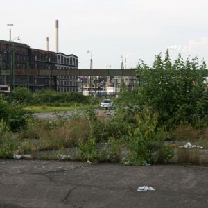 IMG_6442.jpg