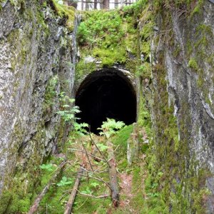 K640_Anke 6 Stollen im Wald.JPG