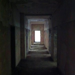009.JPG