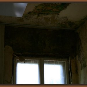 IMG_7203.JPG