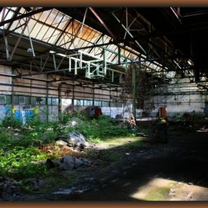IMG_7280.JPG