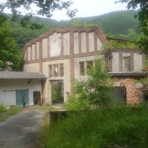 DSCI1166.JPG