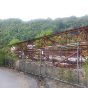 DSCI1177.JPG