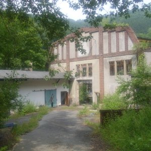 DSCI1167.JPG