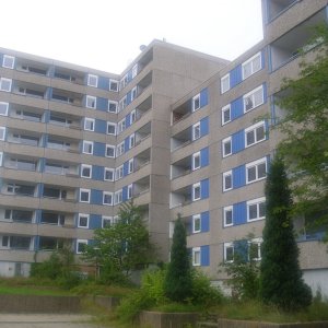 DSCI1198.JPG