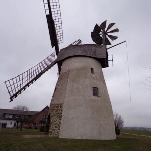 DSC01520.JPG
