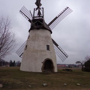 DSC01514.JPG