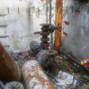 DSCI1175.JPG