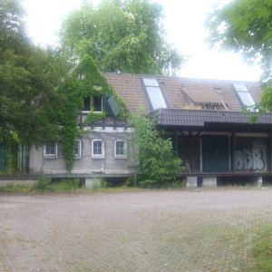 DSCI1107.JPG