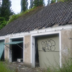 DSCI1124.JPG