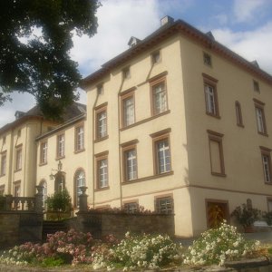 DSCI1228.JPG