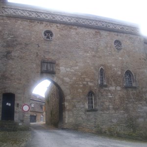 DSCI1217.JPG