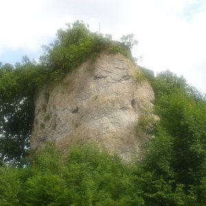 DSCI1214.JPG