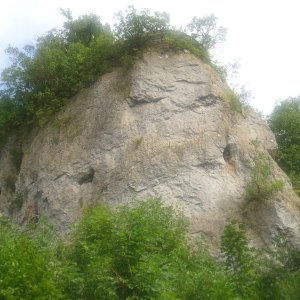 DSCI1241.JPG
