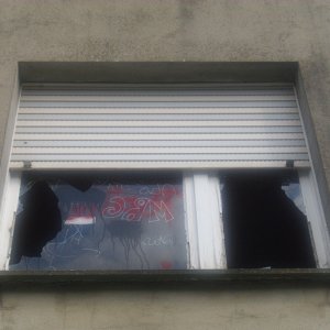 DSCI1281.JPG