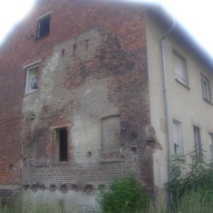DSCI1290.JPG