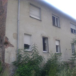 DSCI1288.JPG
