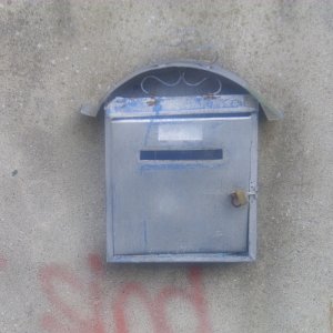 DSCI1360.JPG
