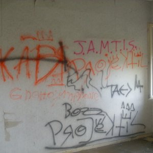 DSCI1304.JPG
