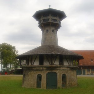 DSCI1413.JPG