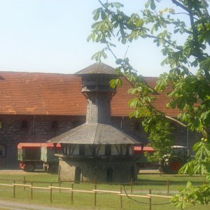 DSCI1490.JPG