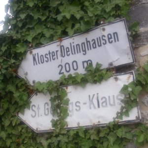 DSCI1445.JPG