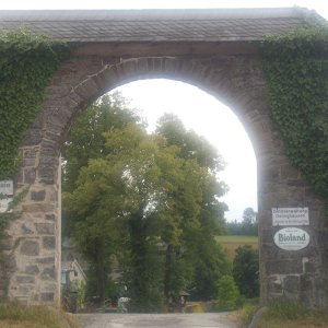 DSCI1447.JPG