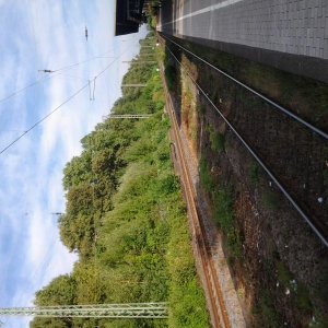 1376757294552.jpg