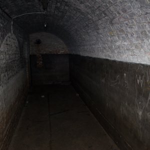 IMG_4472.jpg