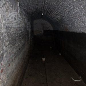 IMG_4474.jpg