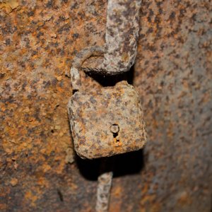 IMG_4477.jpg